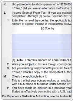 Form 1040-NR, Other Information section, Line L.