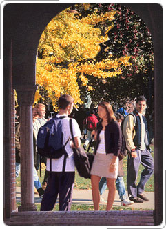 Students gathering in college courtyard