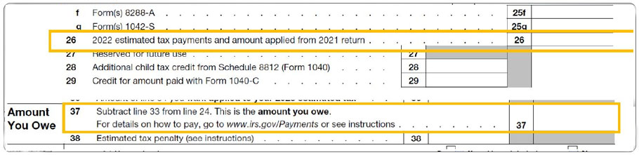 Form 1040-NR showing estimated tax payments and amount you owe.